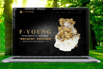 ��֦���������ﱦʯ