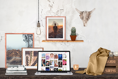 ��֦��ͼƬ��